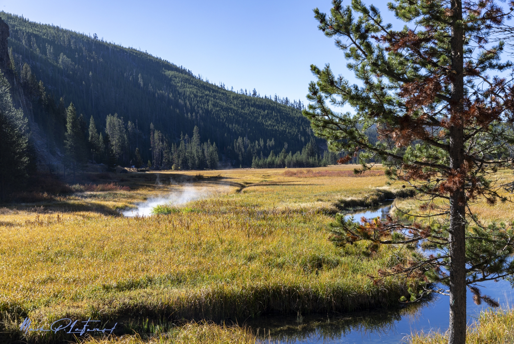 /gallery/north_america/USA/Wyoming/yellowstone/Yellowstone National Park Sept 2024-001_med.jpg